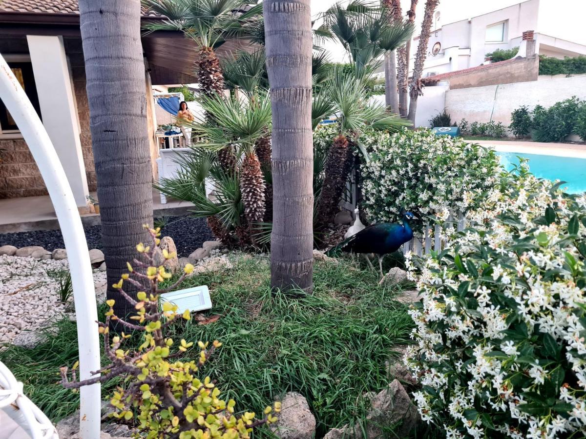 Dependance Oscar Apartment Carrozziere Fonte Ciane Ngoại thất bức ảnh
